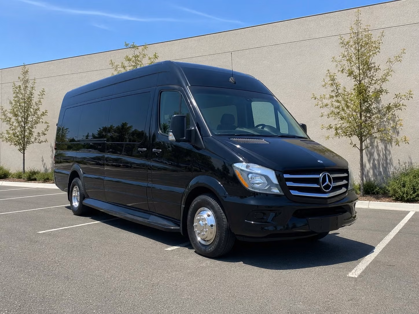 reading sprinter van rental with driver